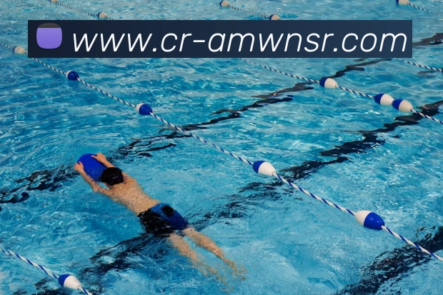 威尼斯人官网平台生态图